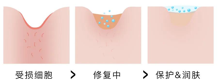 美容护肤界的万金油积雪草,积雪草在护肤界有万金油之称