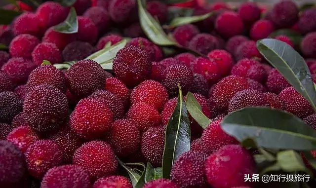 苏州太湖西山岛江浙沪最强攻略,太湖西山岛旅游完整攻略