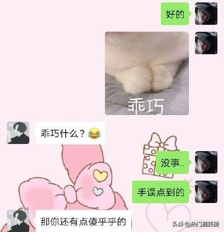 仓鼠和猫打架花了2000,和猫打架住院的仓鼠