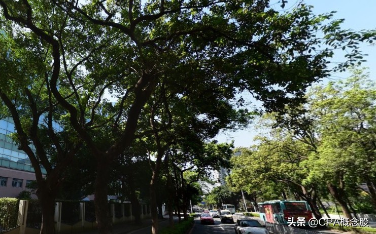 深圳南玻石英材料公司,深圳南玻是指玻璃品种吗