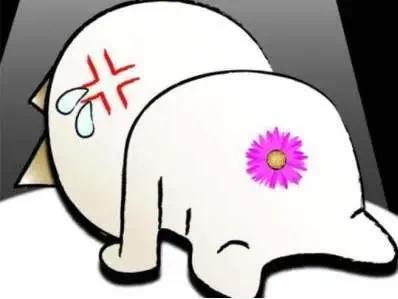 别不好意思了！小心“菊花”变“肉球”