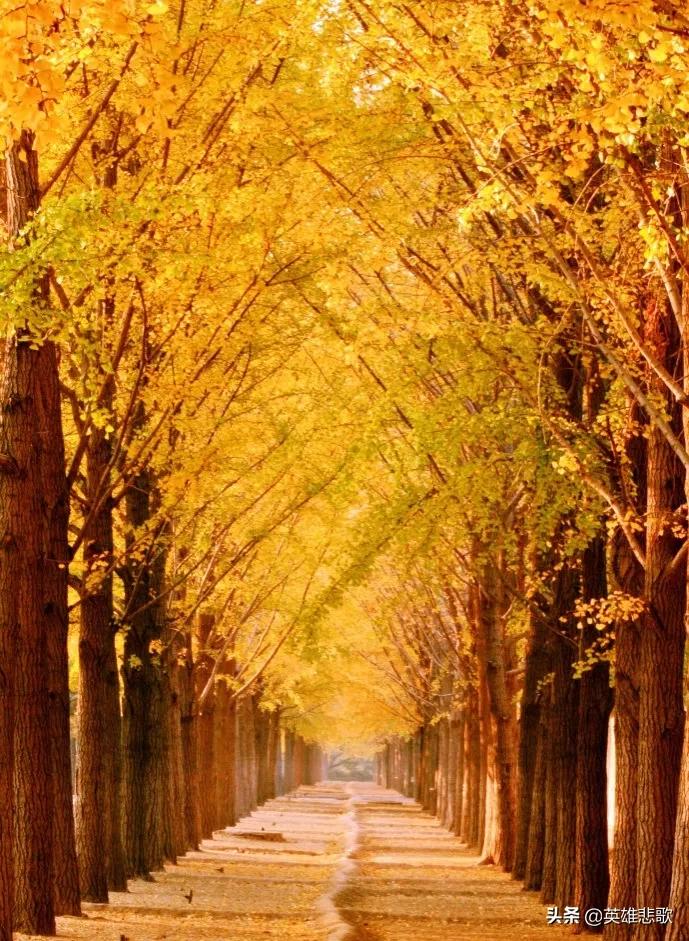 黄沙的价格走高的原因,黄沙市场短斤缺两