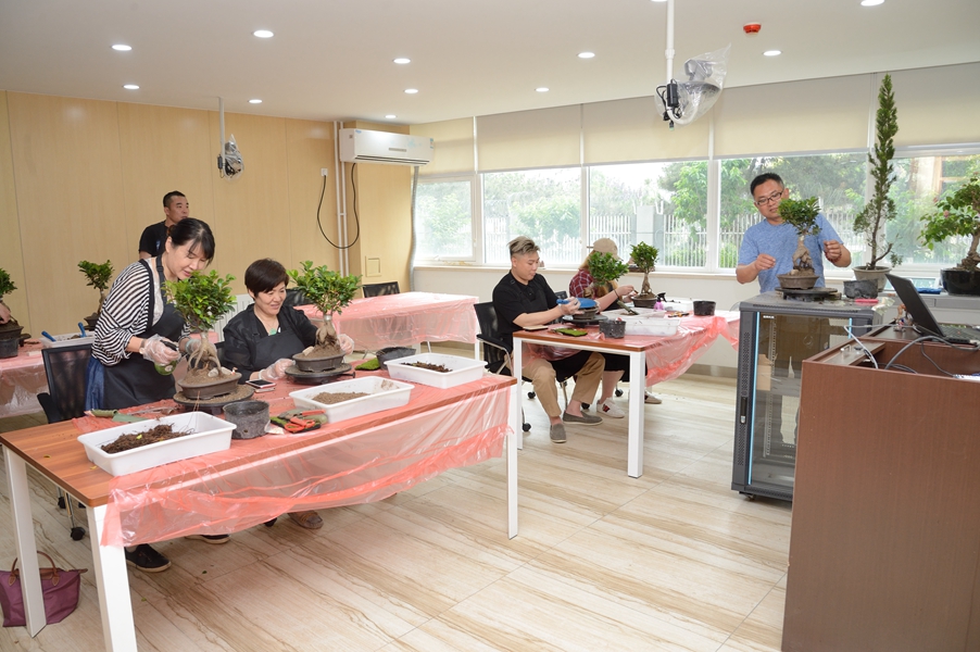 杩庣洓涓栧崕璇炲睍鑱屾暀椋庨噰,杩庝竷鍗佸崕璇炲睍鑱屾暀椋庨噰