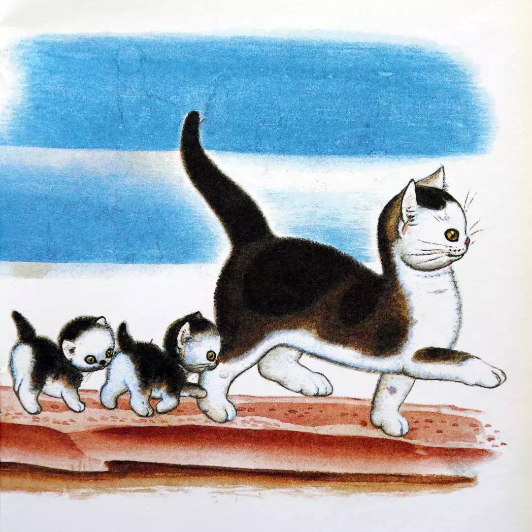 羞答答的小猫绘本故事,绘本阅读有趣的小猫