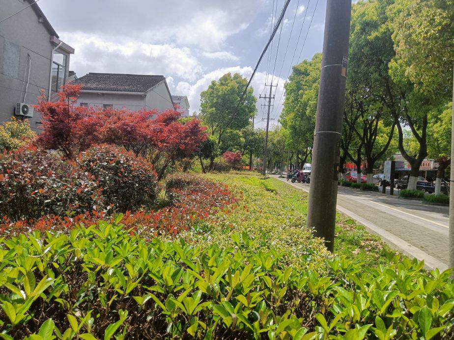 金泽古镇成善坊,上海古镇金泽桥