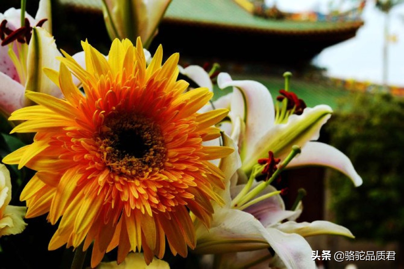 厦门海边之旅,厦门小众旅游体验