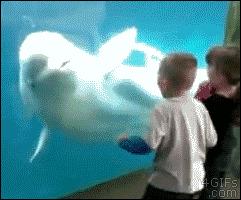 各国秘密间谍行动,各国间谍战有多凶险