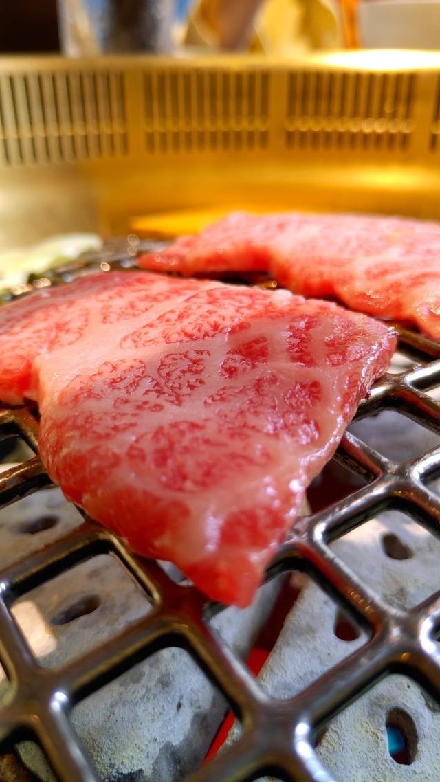 景点打卡日本名古屋乐高公园,日本名古屋乐高公园