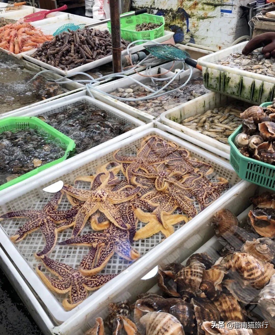 夏天去哪个海边吃海鲜最合适,适合吃货去的海边城市