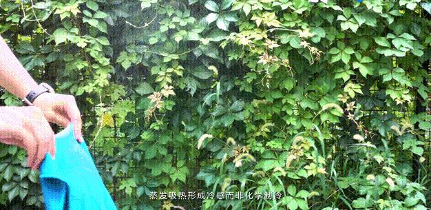 nba降温神器,nba球员用冰感毛巾