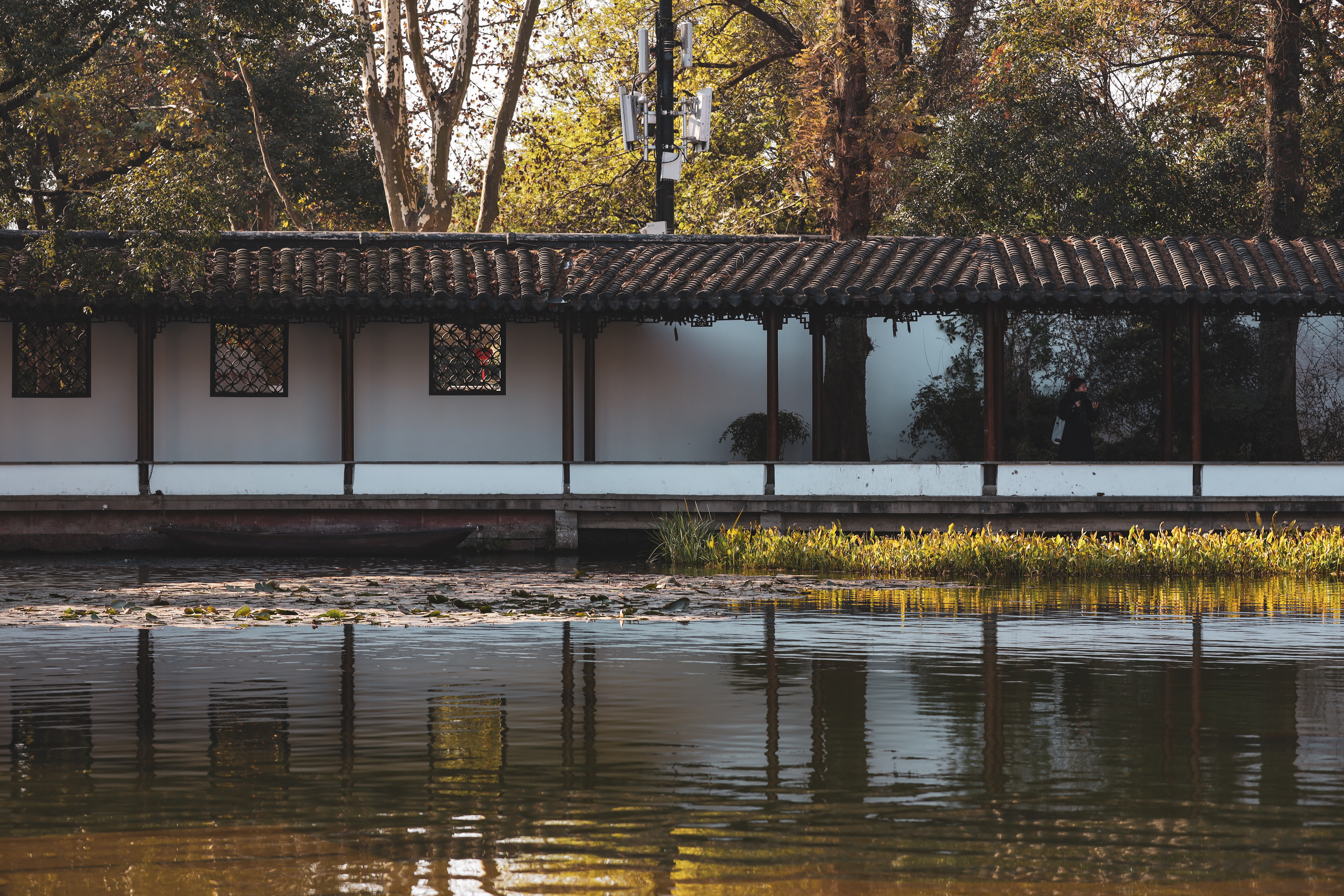 五一假期的杭州西湖,国庆假期杭州西湖