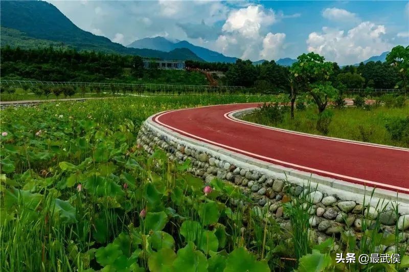 3月底天府绿道哪段最美,天府绿道彩色油菜花