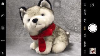 手机摄影拍照教程从零开始,手机拍照技巧和手机摄影分享