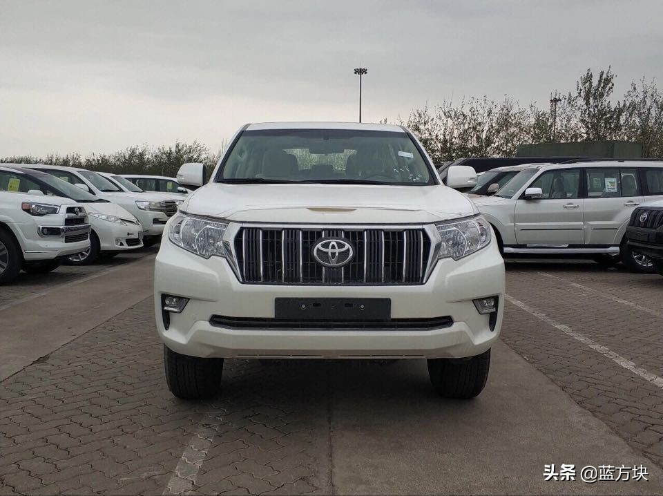 普拉多耍帅视频,普拉多卖萌