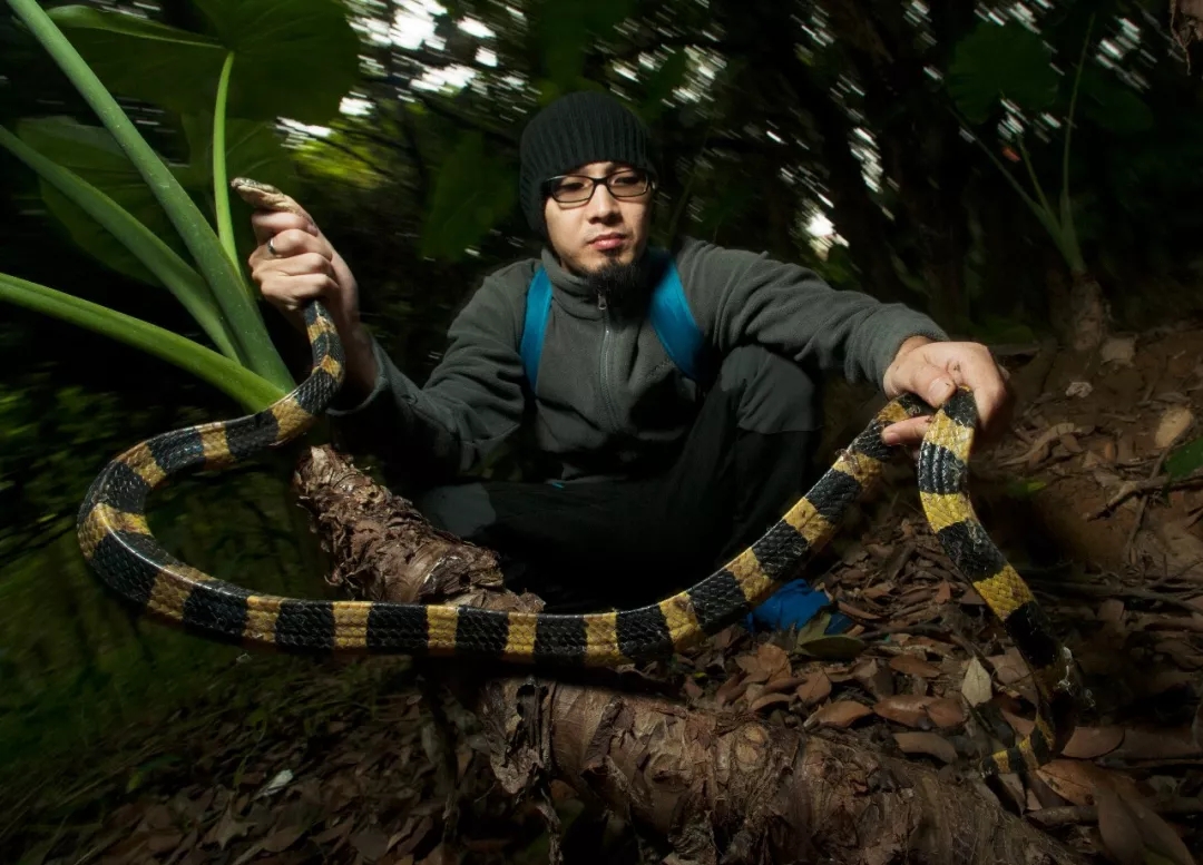 被毒杀的亲情纪录片,相杀相爱纪录片