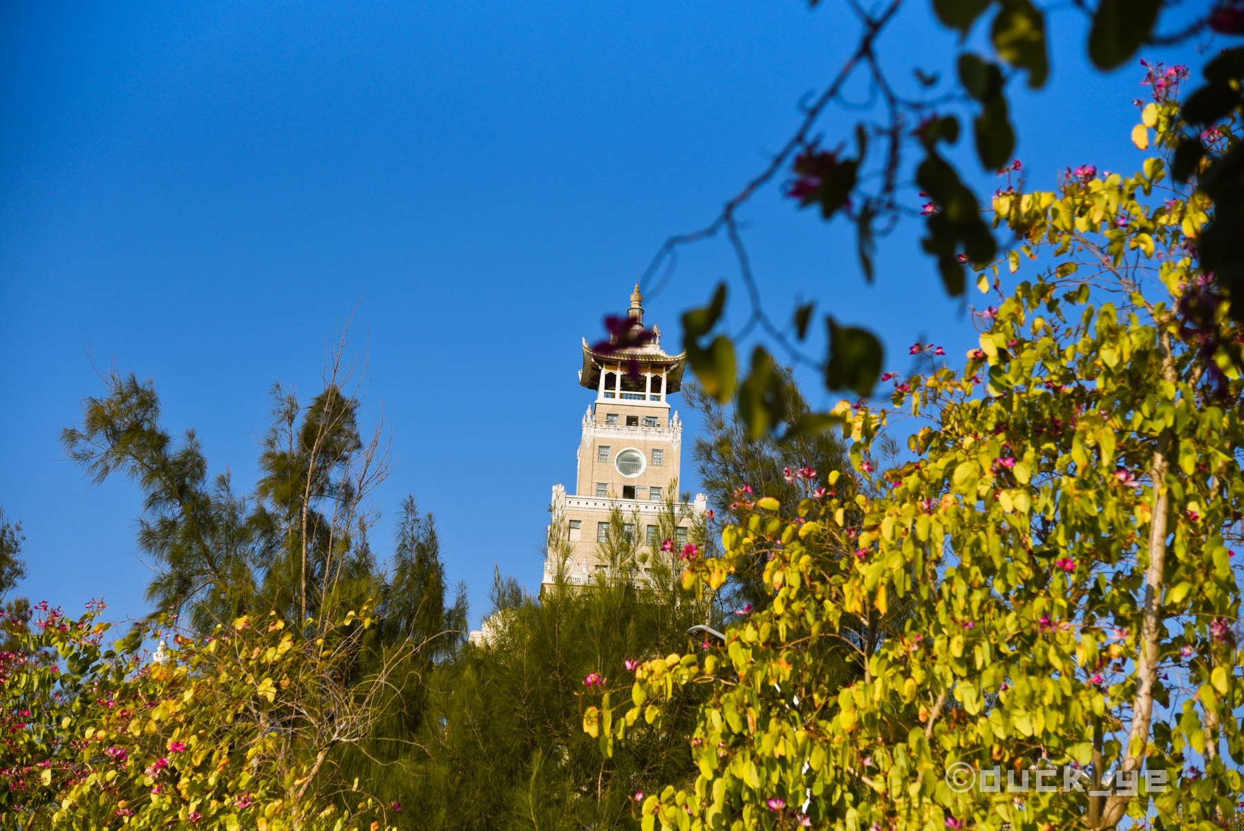 厦门集美中学校园参观,集美中学百年校庆节目视频