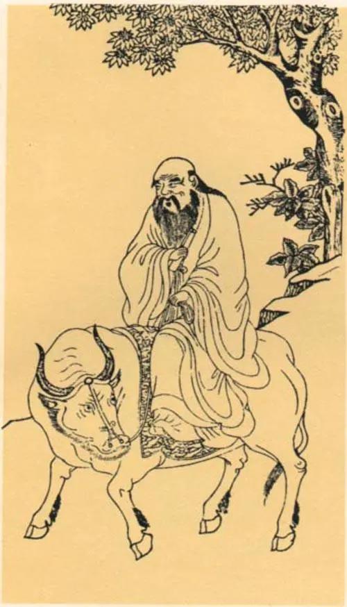 牛一共有四个胃哪个是真正的胃,牛有四个胃会什么的科普小知识