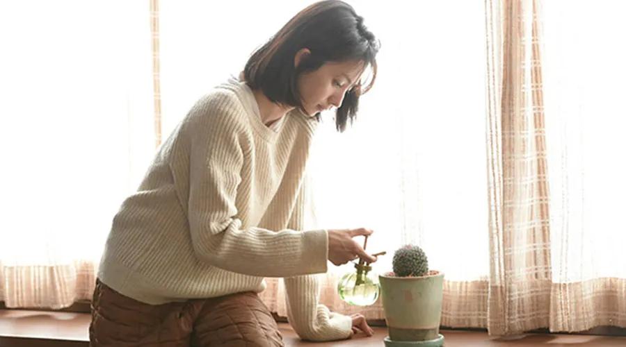 买房故事完整版,买房的故事500字