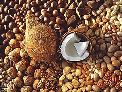 坚果的营养价值比坚果油的好吗,坚果类哪几款坚果营养价值最高