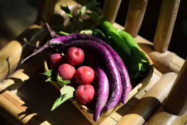 邂逅秋天的千岛湖！光看图已美醉，住这7家美宿避开人群赏湖景山色