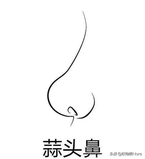 最自然的小翘鼻,鼻综合小翘鼻图片