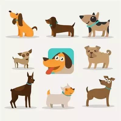 宠物皮肤病特效药有哪些,宠物常见的皮肤病药