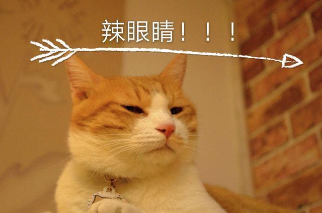 笑话大全,搞笑内涵图,内涵段子