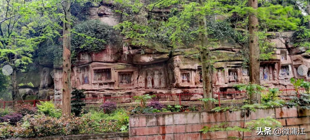 探访深山竹林倍感神清气爽,蒲江遥望雪山感受诗意栖居