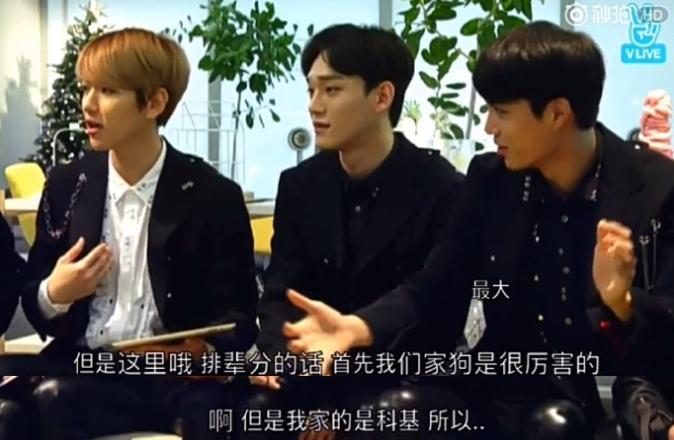 边伯贤超酥话语,边伯贤在舞台上说的话