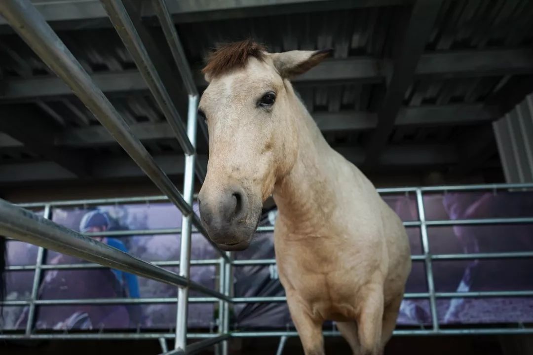 亲子京郊游,北京亲子免预约推荐