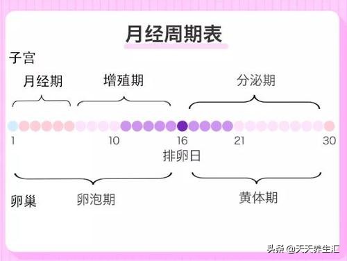 女生的健康晴雨表月经你了解多少,月经经期一般是多少天正常