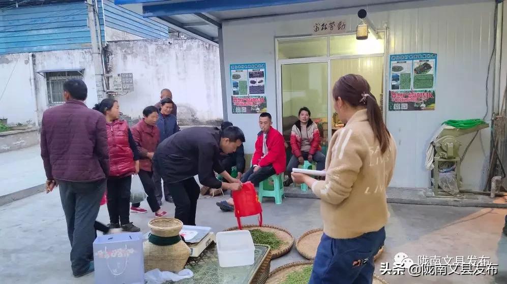 头条任波身残志坚托起创业梦,任波身残志坚托起创业梦完整版