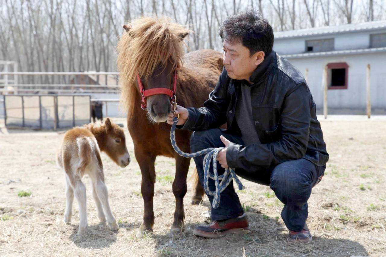 于谦谈玩物不丧志,郭德纲于谦相声圈