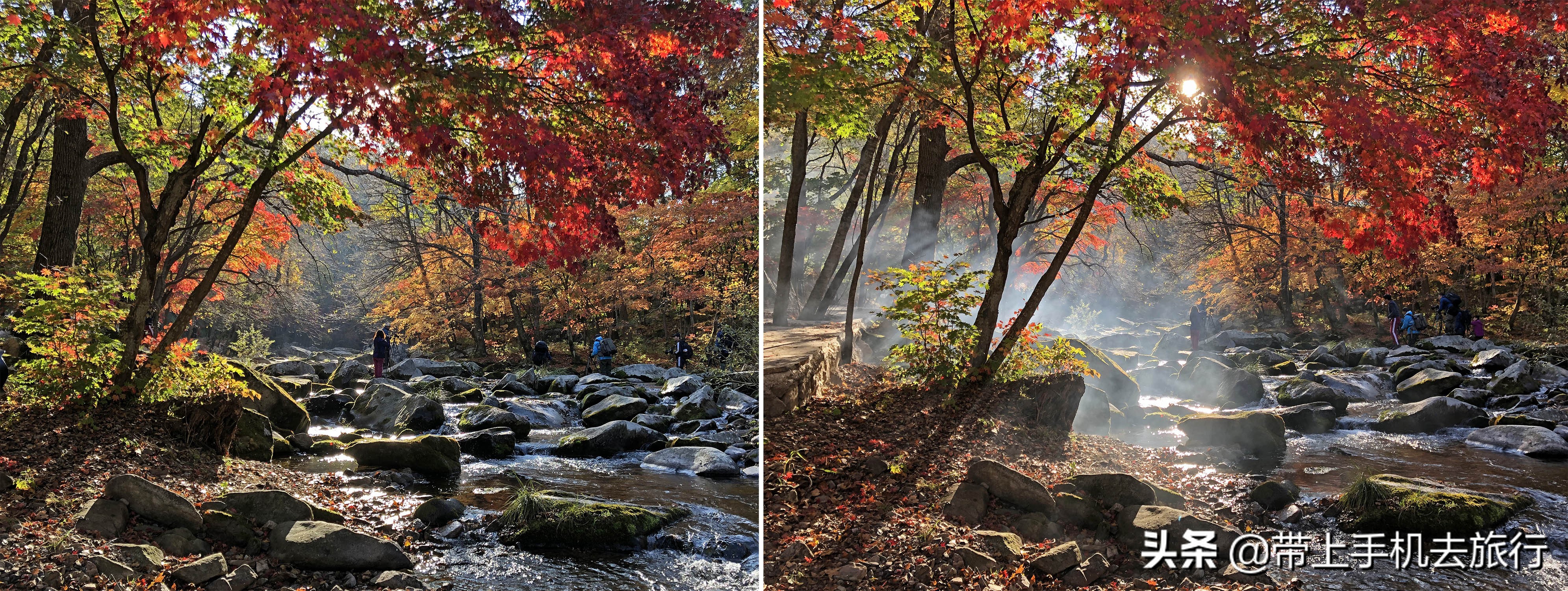 “减法”、虚化和“加法”，让画面瞬间干净简洁唯美