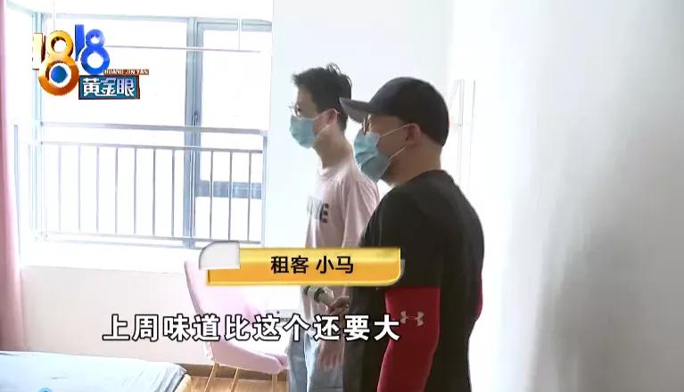 自如甲醛排队50天检测结果,自如房甲醛超标的原因