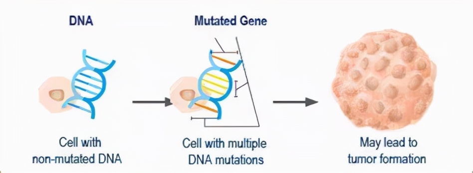 驱动基因阳性iii期肺癌治疗指南,基因检测阳性靶向治疗
