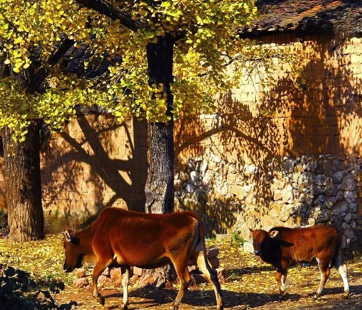 2019已过去迎接新的2020已到来,广西之旅2019