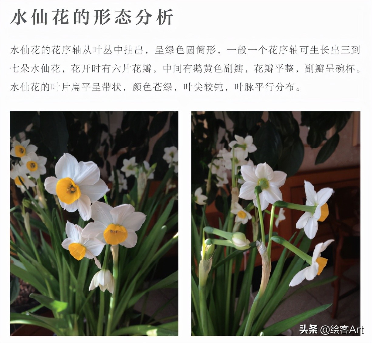 写意国画怎样配色,最好的小写意国画