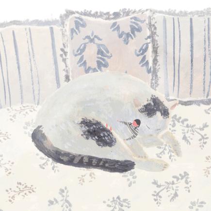 新西兰留学银行卡怎么选,留学日本银行卡办理流程