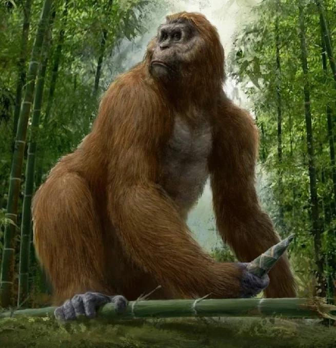 地球最大动物蓝鲸两百吨体重,地球最大的动物是什么动物