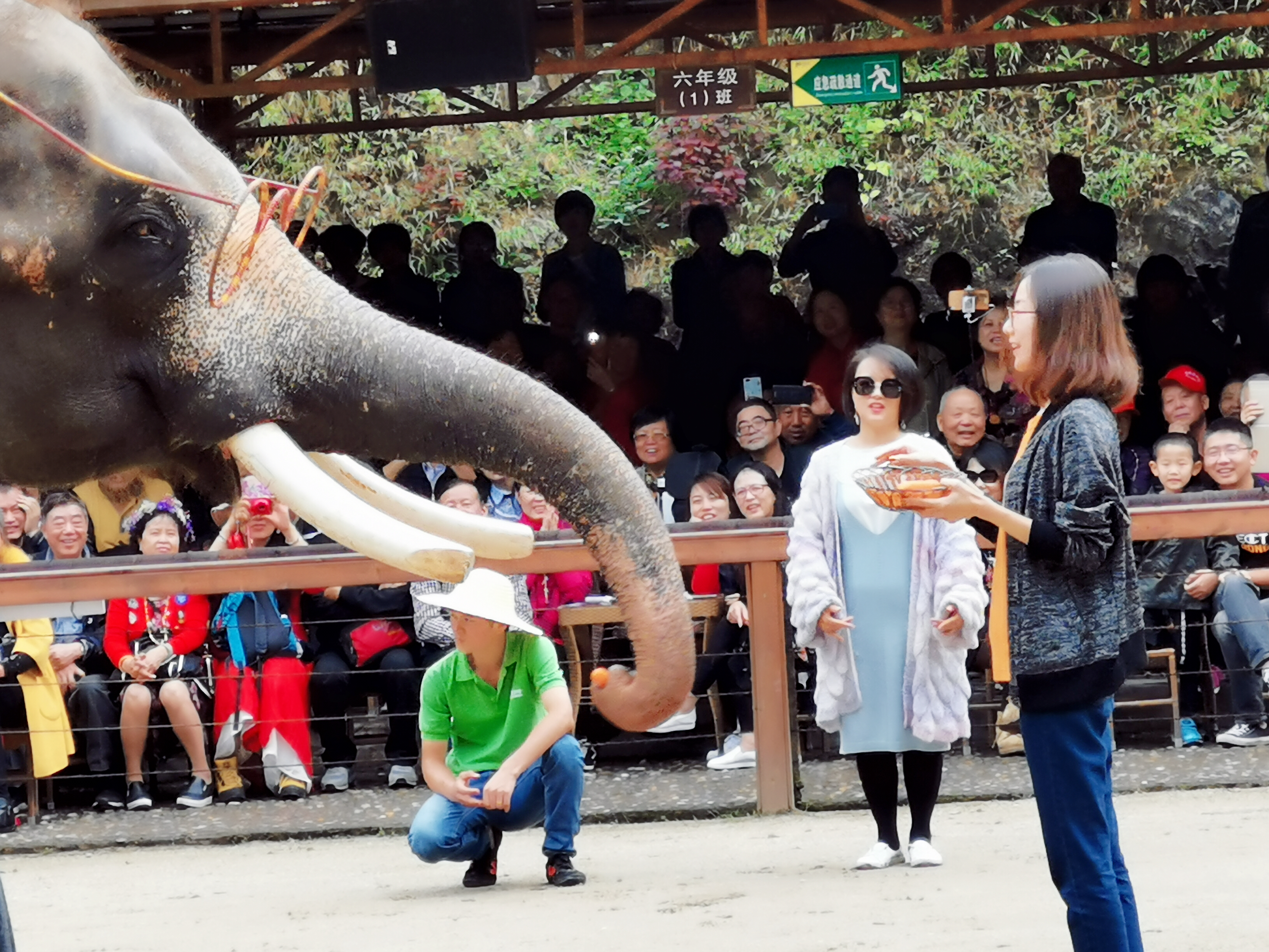 了解西双版纳的风俗和民族文化,西双版纳哈尼族特色民族文化