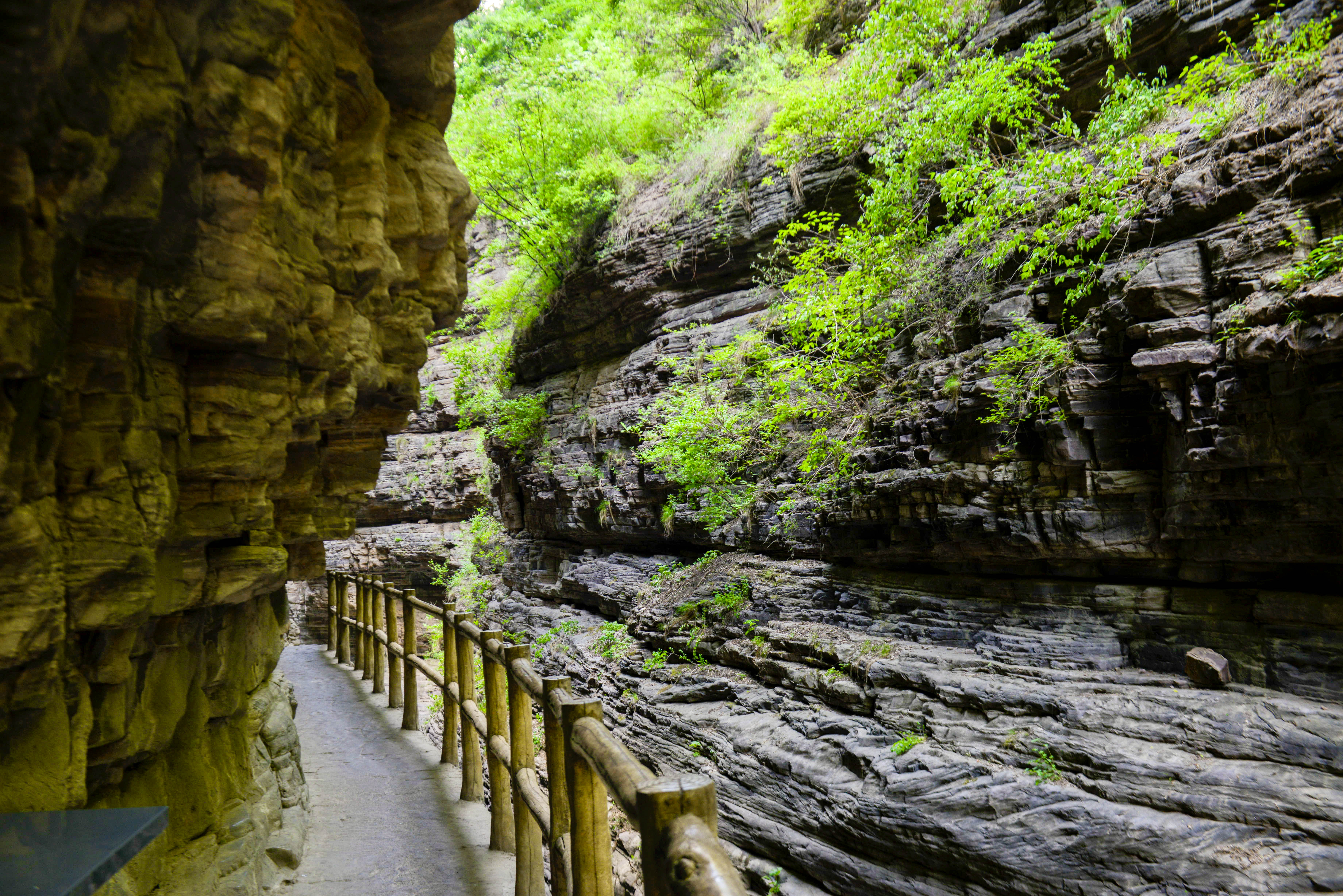 来到这里，我承认我腿有些软，但我还是痴迷于它的美