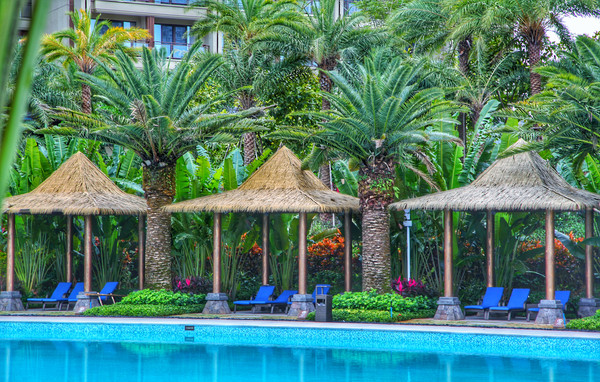 陵水度假酒店攻略,陵水海滨度假酒店