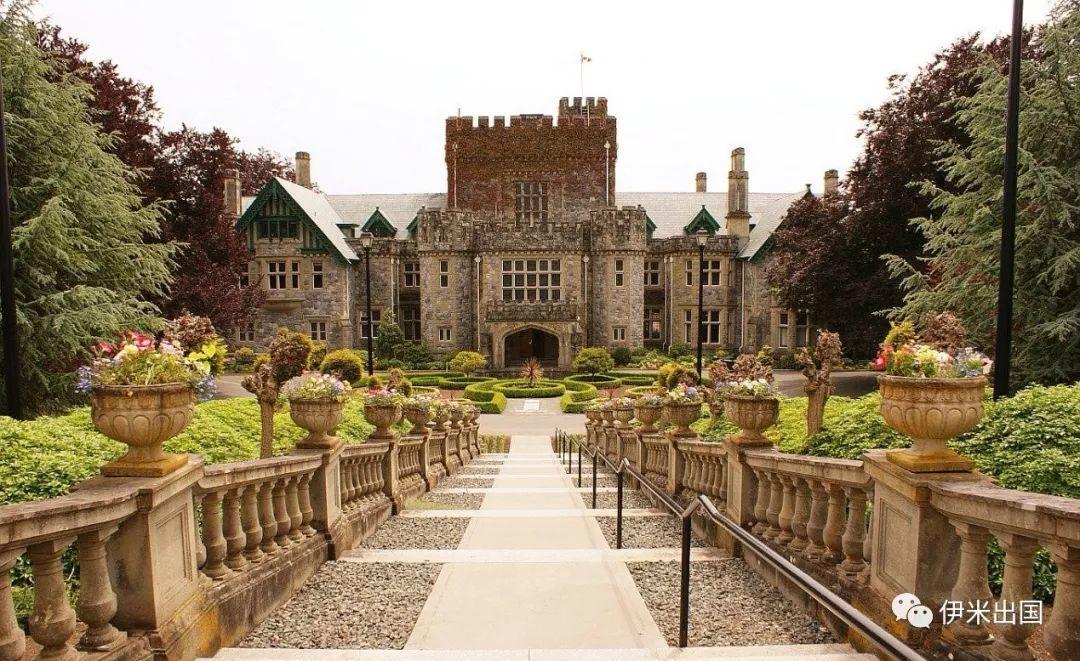 老移民最新视频,老移民谈温哥华