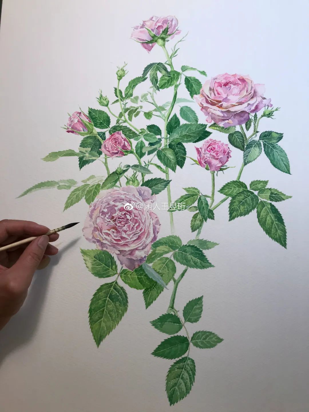 王昱珩不上班做到财富自由,最强大脑王昱珩清华毕业后不上班