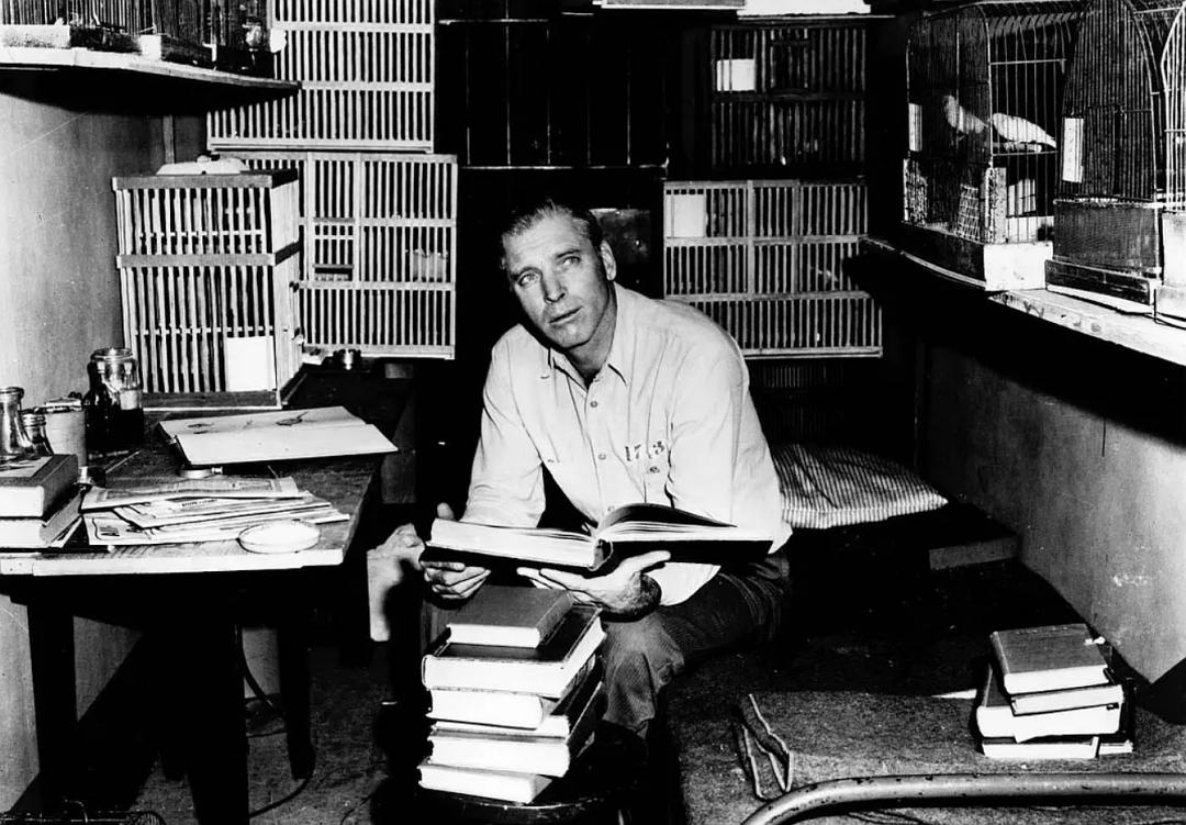 鲍勃迪伦blowinginthewindmv,鲍勃迪伦发布8年来首张新专辑