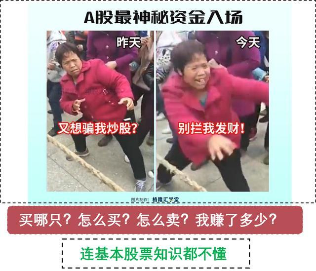 牛市来了散户亏得多,牛市来了亏400万