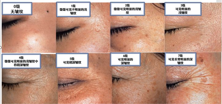 雅诗兰黛小棕瓶精华怎样买正品,雅诗兰黛小棕瓶100毫升最低价