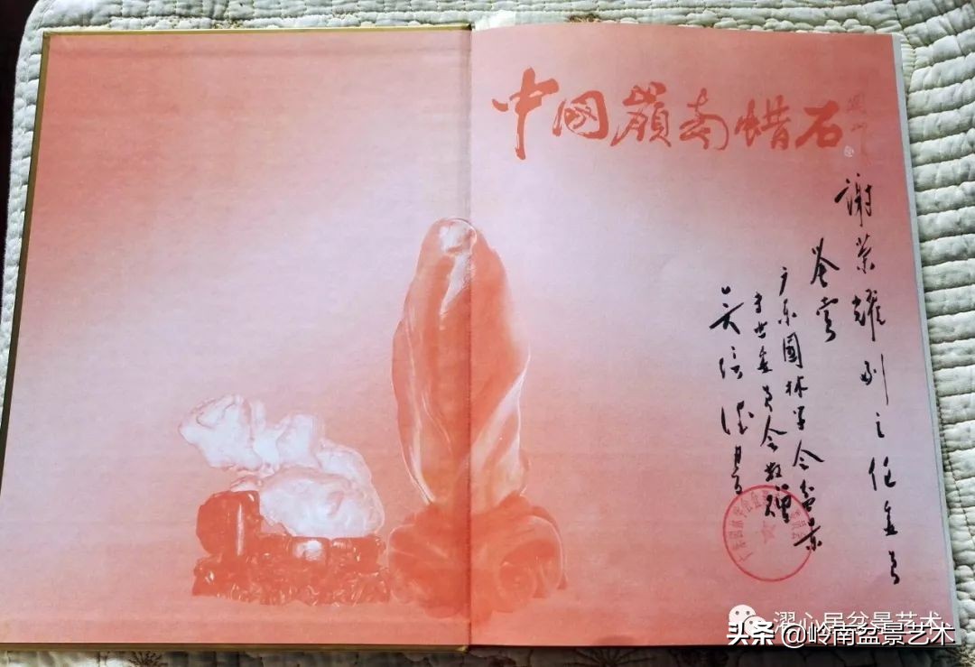 玩树藏石，不亦乐乎！