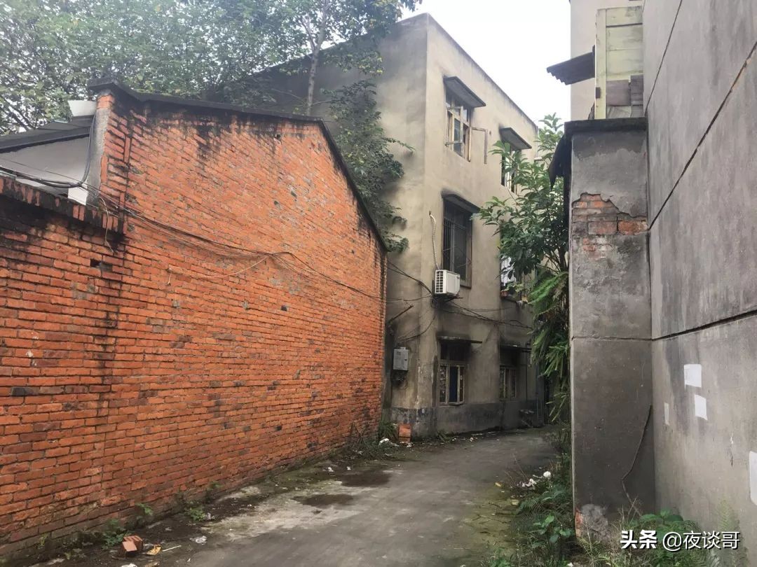 来成都感受这里的慢生活,来成都一年的感受